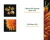 5sens-dry-oil-3