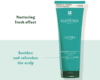astera-fresh-shp250-6