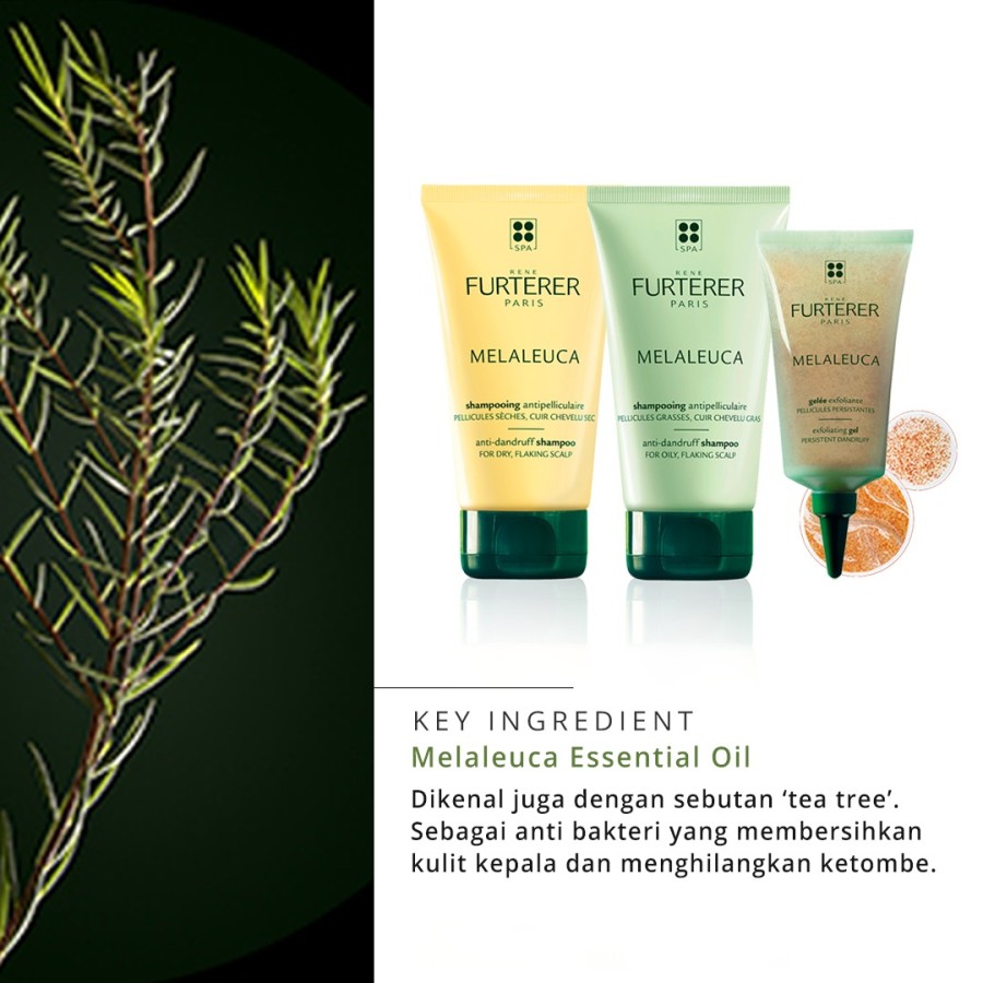 melaleuca-dry-1